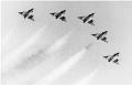 No 77 Squadron Association Williamtown photo gallery - CHECKMATES 1973 (Jack Smith)
